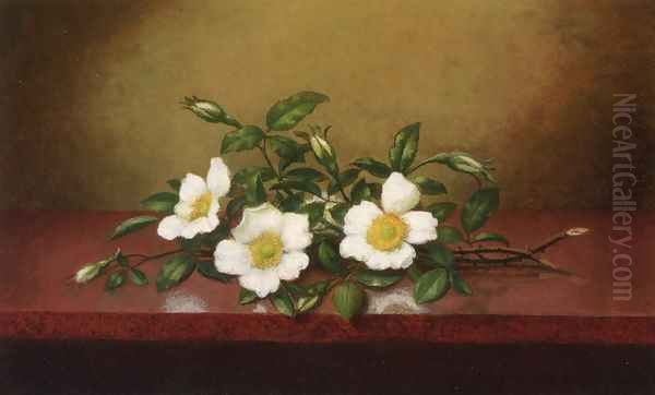 Cherokee Roses On A Shiney Table Oil Painting by Martin Johnson Heade