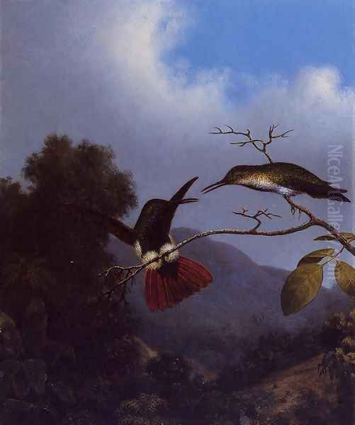 Black Throated Mango Oil Painting by Martin Johnson Heade