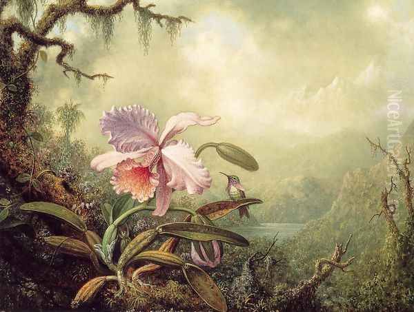 Heliodores Woodstar And A Pink Orchid Oil Painting by Martin Johnson Heade