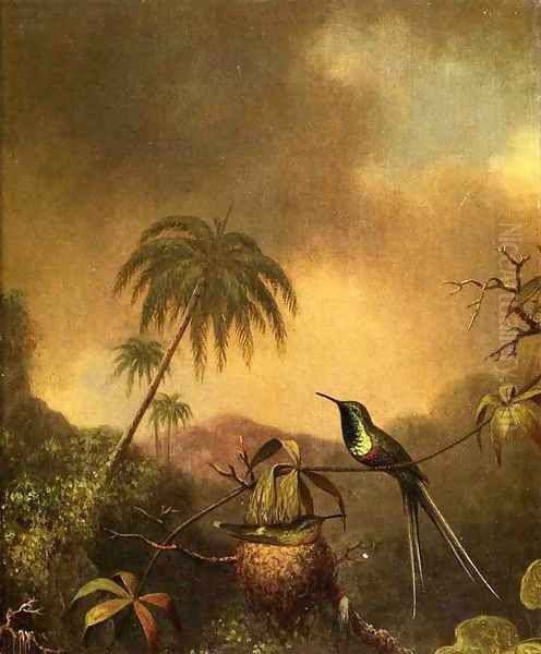 Thorn Tail Brazil Oil Painting by Martin Johnson Heade