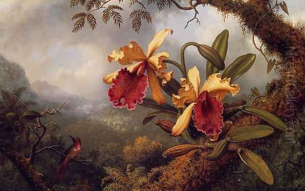 Orchids And Hummingbird3 Oil Painting by Martin Johnson Heade