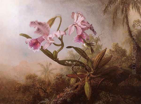 Orchids And Hummingbird2 Oil Painting by Martin Johnson Heade