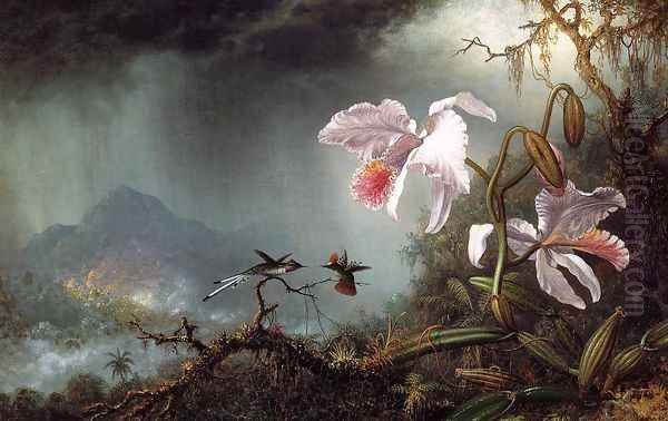 Two Fighting Hummingbirds With Two Orchids Oil Painting by Martin Johnson Heade