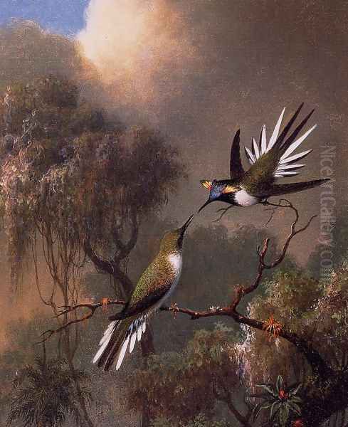 Two Sun Gems On A Branch Oil Painting by Martin Johnson Heade