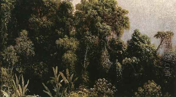 Forest Study Brazil Oil Painting by Martin Johnson Heade