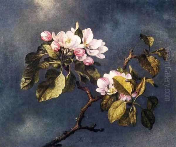 Apple Blossoms 2 Oil Painting by Martin Johnson Heade