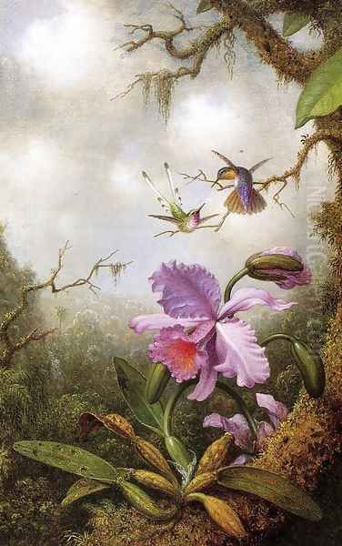 Two Hummingbirds And A PinkOrchid Oil Painting by Martin Johnson Heade