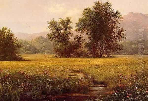 The Meadow Oil Painting by Martin Johnson Heade