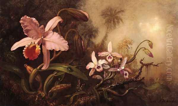 Orchids And A Beetle Oil Painting by Martin Johnson Heade