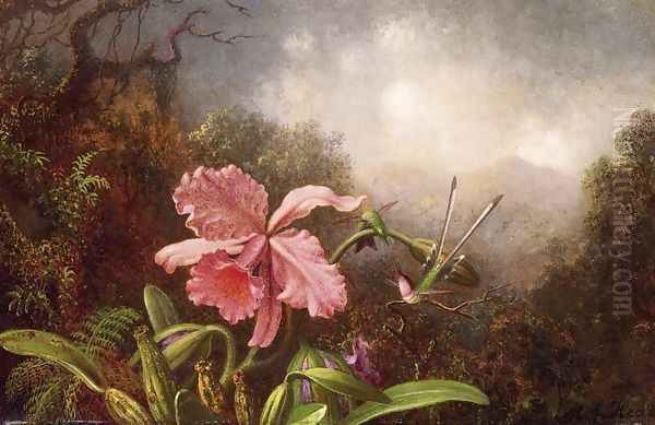 Two Hummingbirds By An Orchid Oil Painting by Martin Johnson Heade