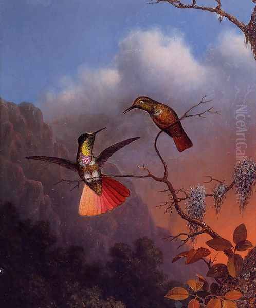 Hooded Visorbearer Oil Painting by Martin Johnson Heade