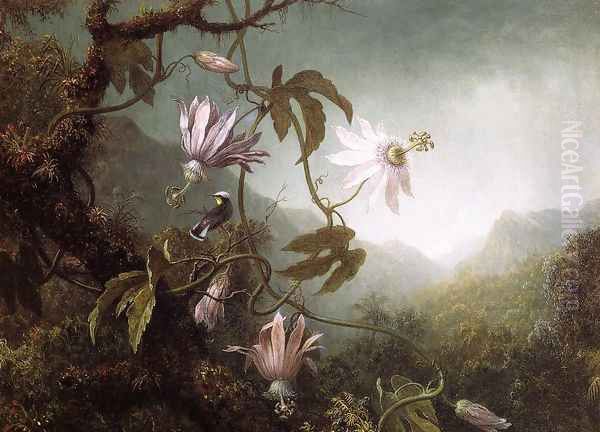 Hummingbird Perched Near Passion Flowers Oil Painting by Martin Johnson Heade