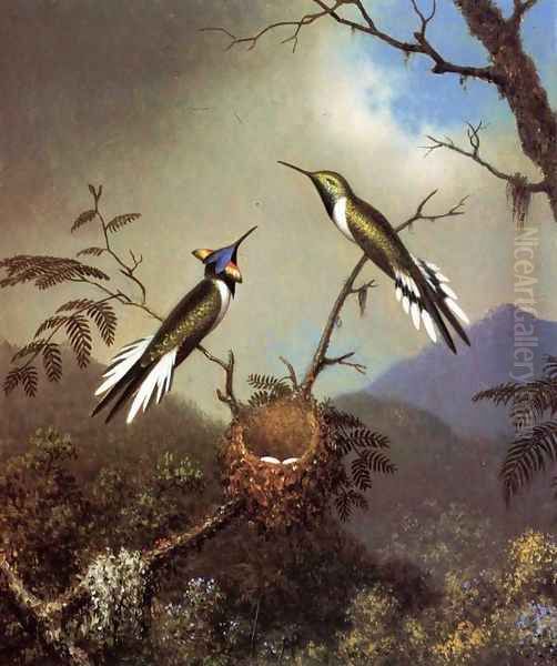 Hummingbirds At Their Nest Sun Gems Oil Painting by Martin Johnson Heade