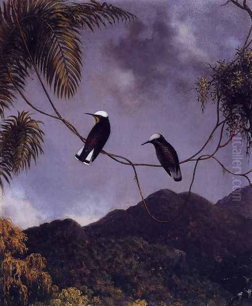 Snowcap Oil Painting by Martin Johnson Heade