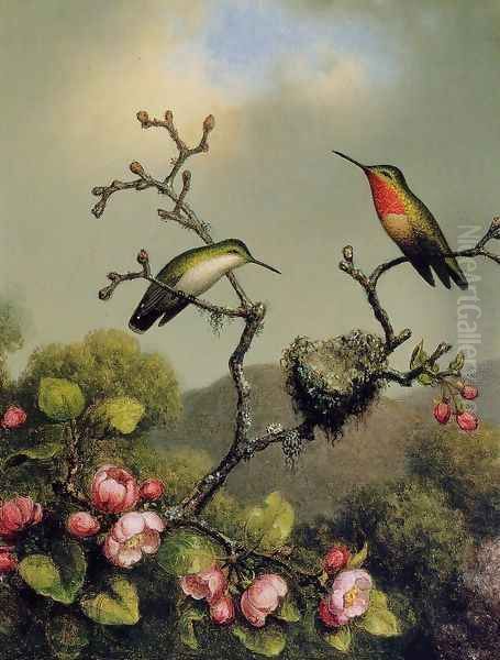 Ruby Throat Of North America Oil Painting by Martin Johnson Heade