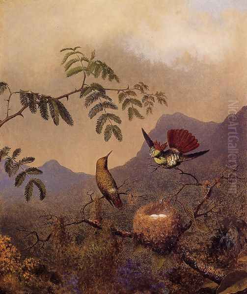 Frilled Coquette Oil Painting by Martin Johnson Heade