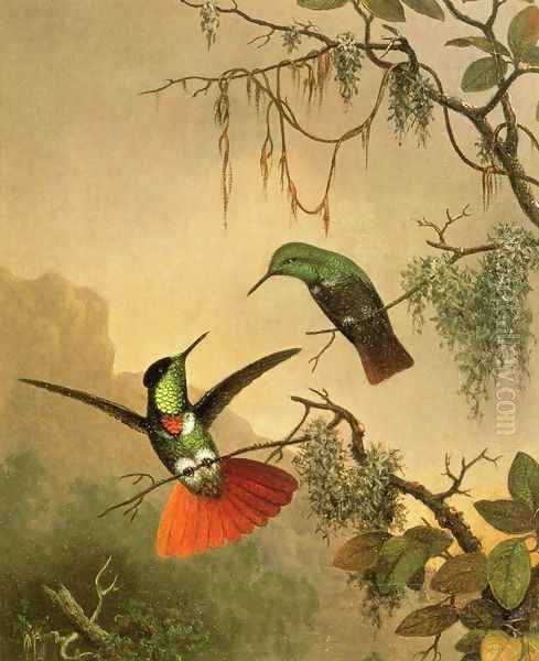 Two Hooded Visorbearer Hummingbirds Oil Painting by Martin Johnson Heade