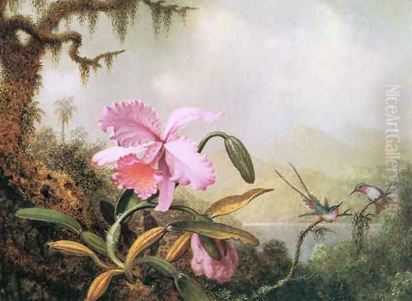 Orchids And Hummingbirds4 Oil Painting by Martin Johnson Heade