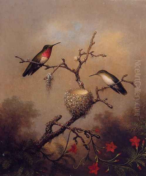 Ruby Throated Hummingbird Oil Painting by Martin Johnson Heade