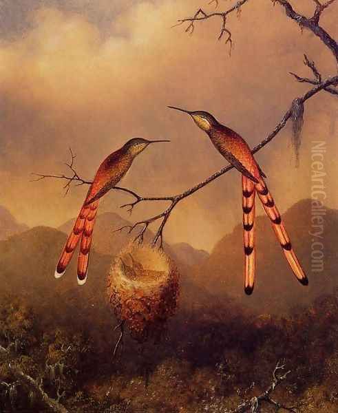 Two Hummingbirds With Their Young Oil Painting by Martin Johnson Heade