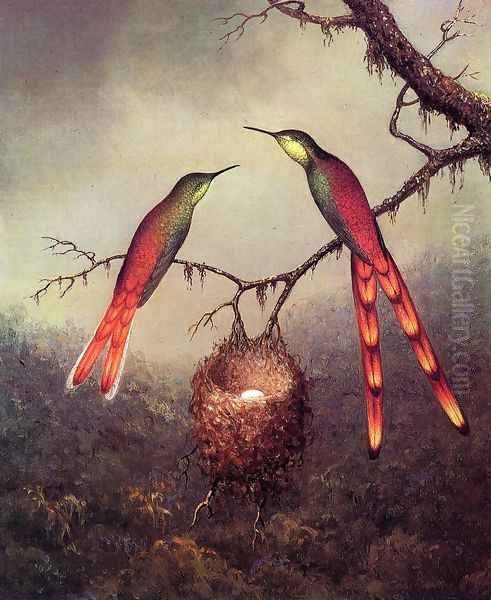 Two Hummingbirds Garding An Egg Oil Painting by Martin Johnson Heade