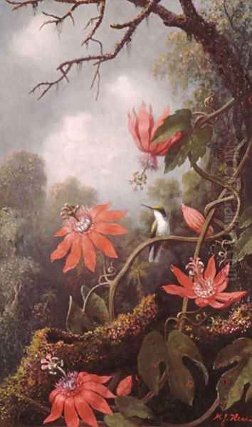 Hummingbird and Passionflowers Oil Painting by Martin Johnson Heade