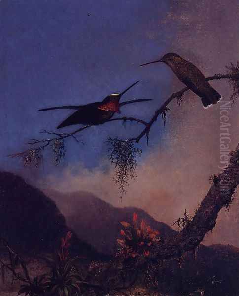 Strip Breasted Starthroat Oil Painting by Martin Johnson Heade