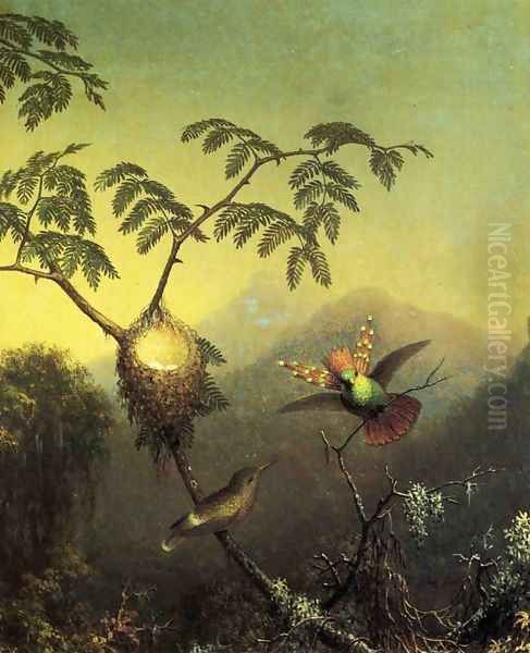 Two Hummingbirds Tufted Coquettes Oil Painting by Martin Johnson Heade