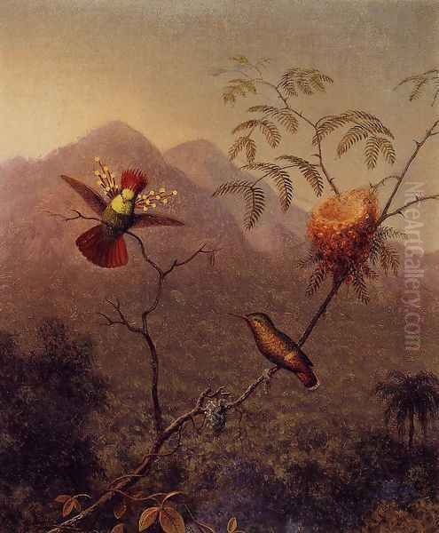 Tufted Coquette Oil Painting by Martin Johnson Heade