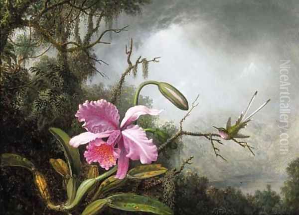 Orchid and Hummingbird, After a Storm Oil Painting by Martin Johnson Heade