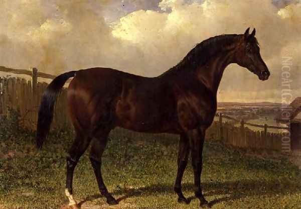 'Emilius', a bay racehorse in a paddock Oil Painting by John Frederick Herring Snr