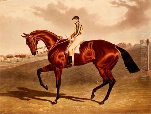 'Bay Middleton' winner of the Derby in 1836 Oil Painting by John Frederick Herring Snr