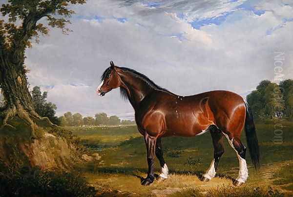 A Clydesdale Stallion, 1820 Oil Painting by John Frederick Herring Snr