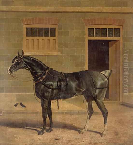 A Carriage Horse in a Stable Yard Oil Painting by John Frederick Herring Snr