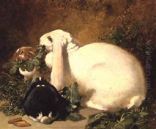 A Doe Rabbit and her two young, 1852 Oil Painting by John Frederick Herring Snr