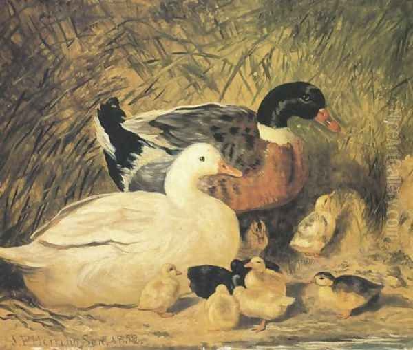 Ducks And Ducklings Oil Painting by John Frederick Herring Snr