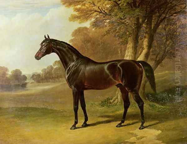 'Glaucus' Oil Painting by John Frederick Herring Snr