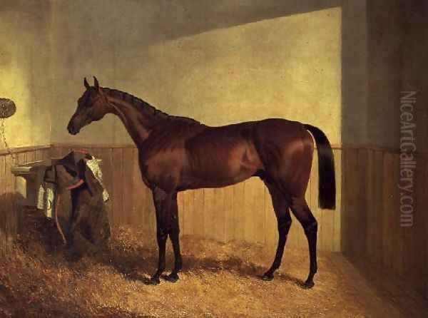 'The Merry Monarch', a bay racehorse, in a loosebox Oil Painting by John Frederick Herring Snr