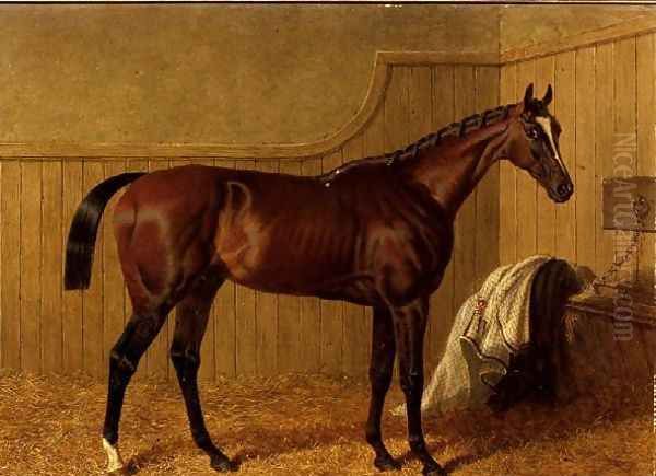 'Touchstone', a bay racehorse in a loosebox Oil Painting by John Frederick Herring Snr