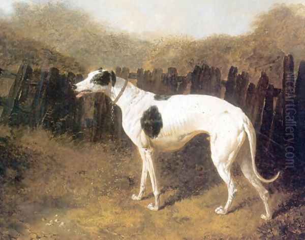 Greyhound by a Fence Oil Painting by John Frederick Herring Snr