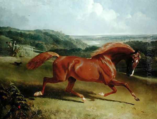 Galloping Horse in a Landscape Oil Painting by John Frederick Herring Snr