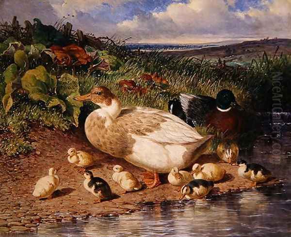 Ducks by a Stream, 1863 Oil Painting by John Frederick Herring Snr