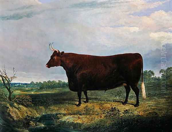 Portrait of a Brown Bull, 1831 Oil Painting by John Frederick Herring Snr