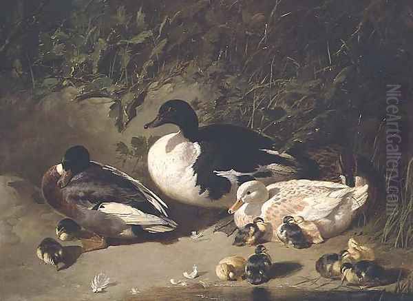 Ducks and Ducklings by a Pond Oil Painting by John Frederick Herring Snr