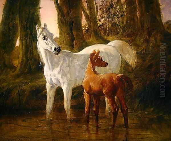 Mare and Foal startled while watering in a Stream, 1854 Oil Painting by John Frederick Herring Snr