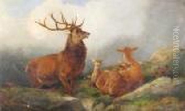 A Stag And Family In The Highlands Oil Painting by Richard Ansdell