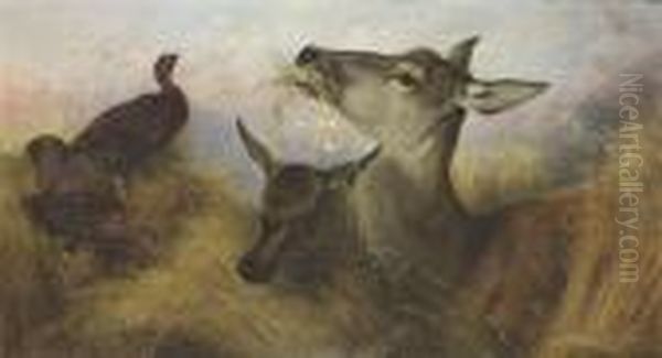 Deer And Grouse Feeding In A Field Of Barley Oil Painting by Richard Ansdell