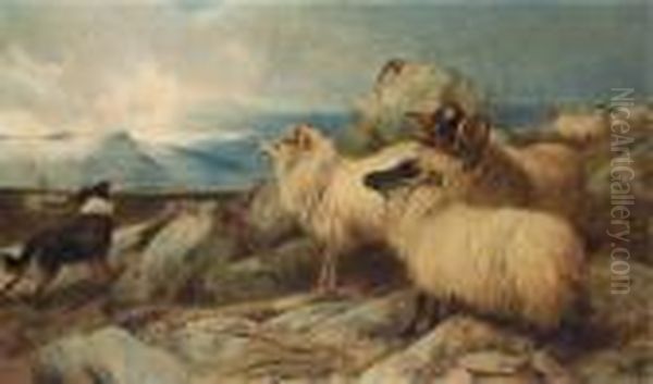 Herding The Flock Oil Painting by Richard Ansdell