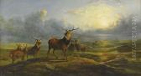 Landskap Med Hjortar Oil Painting by Richard Ansdell