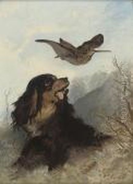 A Spaniel And A Woodcock Oil Painting by Richard Ansdell